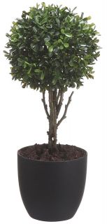 14 ARTIFICIAL BOXWOOD SINGLE BALL TOPIARY IN GREEN PLASTIC POT, NEW