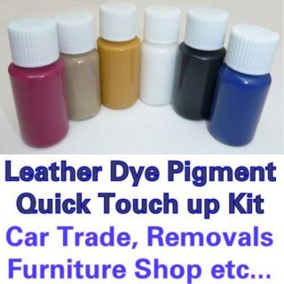 Leather Dye Stain Pigment Paint   Car & Furniture Kit