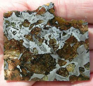 Translucent Seymchan Pallasite Meteorite   Etched on 1 side, Polished 