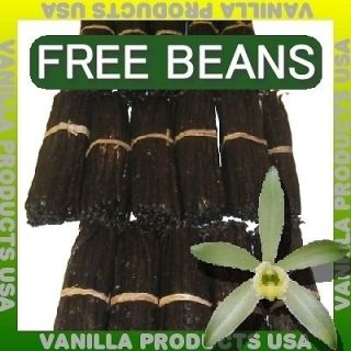 25 Grade A Madagascar Bourbon Vanilla Beans 6~7