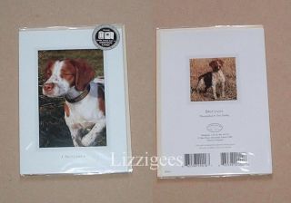 BRITTANY Spaniel DOG Puppy Blank Greetings Card