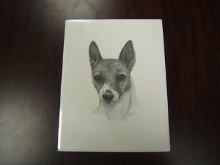 Dog Print Rat Terrier pencil sketch hand signed (jd)