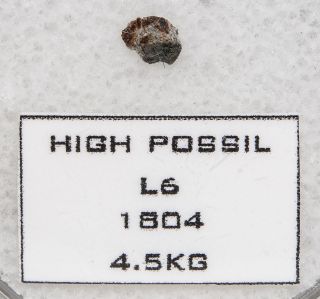 HIGH POSSIL historic meteorite 1st Scotland fall   1804   350g TKW 