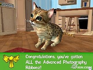 Petz Catz 2 Nintendo DS, 2007