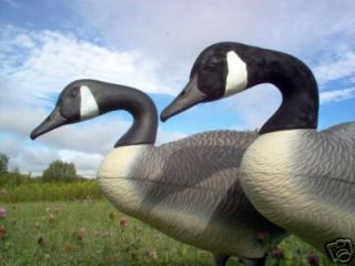 Goose Decoy Deluxe Flocking Kit with White for Cheeks