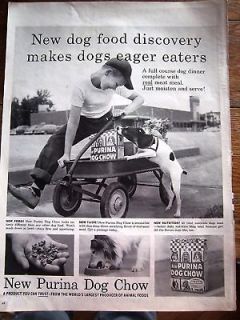 1957 Purina Dog Chow Boy Wagon Jack Russell Terrier Ad