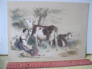Vintage Print,MILKMAID​+COWS,Italian Chromo,19th Century,Costum​e