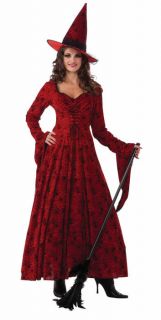 womens crimson witch costume & hat dress gown burgundy spiders webs 