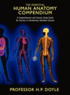 The Essential Human Anatomy Compendium A Comprehensive and Concise 