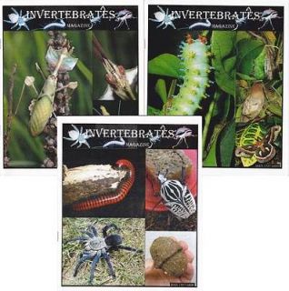 Back Issues Invertebrates Magazine 2009 diabolica Mantis Triops 
