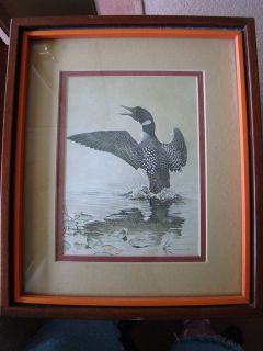 LOATES LOON 11 X 13 1976 PROFESSIONALLY FRAMED WOOD IN GLASS 
