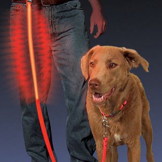 Nite Dawg Red LED Pet Leash by Nite Ize   Light up your Pet for Safety