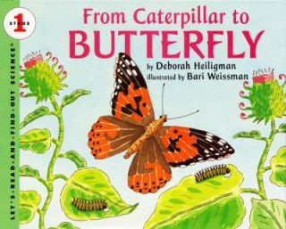   to Butterfly by Heiligman and Deborah Heiligman 1996, Paperback