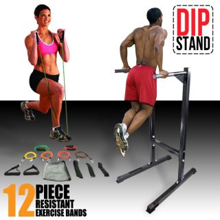 Dip Stand Dipping Station Machine Bicep Tricep & 12 PC Exercise 