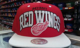 detroit red wings snapback in Clothing, 