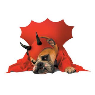 devil dog costume in Dog Costumes