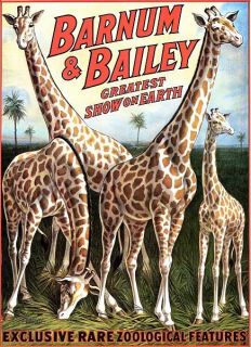Barnum & Bailey Giraffe Circus Poster