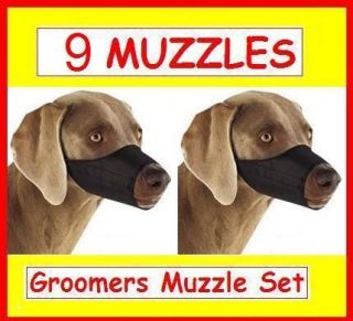 DOG MUZZLES grooming groomers SET kennel shelter vet