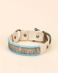 juicy couture dog collar in Collars & Tags