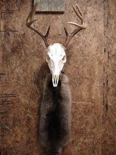 European Skull Mount Bracket Antler Deer Hook Hanger