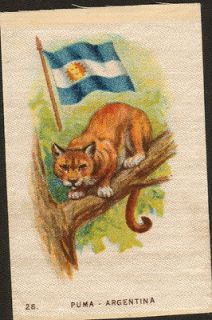 Mountain Lion Cougar & Argentina Flag, Antique 1915 Silk Trading Card