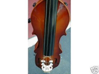 Electric UPRIGHT BASS Eminence w/FREE Stand/Gig Bag