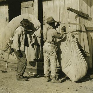 Vintage 1910s Photo,Black Men Cotton Pickers at Store House,African 
