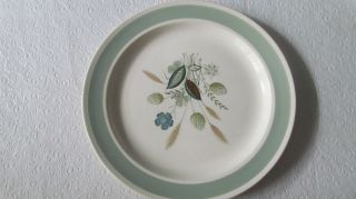 Enoch Wood & Son China England CLOVELLY Salad Plate/s
