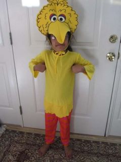 big bird costume in Costumes