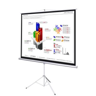   Portable Projection 100 Screen Pull up Matte White Projector Stand