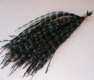 Pretty Whiting Saddle Fire Feather Hair Extensions Kit 20PCS green