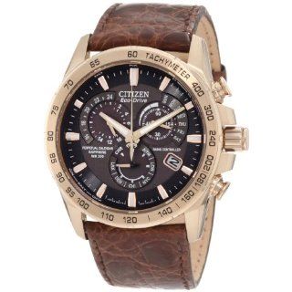 Citizen Mens AT4003 04E Perpetual Chrono A T Limited Edition Watch 