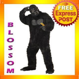 C126 Mens Gorilla Ape Monkey Scary Halloween Adult Fancy Dress Costume