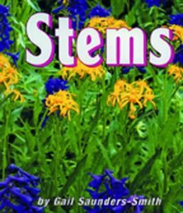 Stems Growing Flowers by Gail Saunders Smith 1998, Hardcover