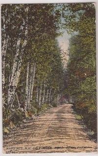Bethlehem, New Hampshire Postcard Gale River Road Birch Trees 1911 