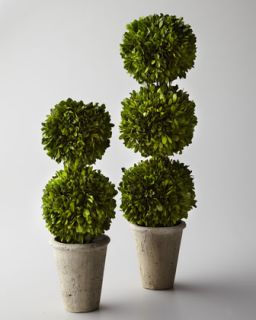 Faux Boxwood Topiaries   The Horchow Collection