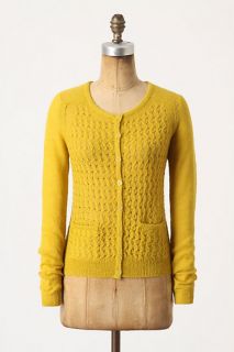 Gossamer True Cardigan   Anthropologie