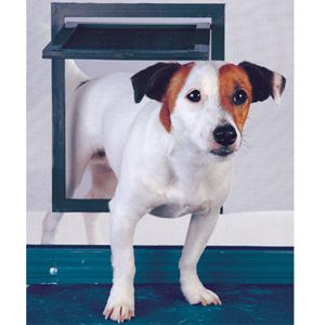 Dog Screen Door » PetSafe Door Mount Screened Pet Door  