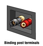 common variety of binding post, especially for speakers, is known as 