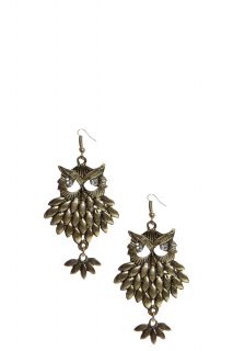  Accessories  Jewellery  earrings  Erin Owl Drop 