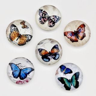 Butterfly Magnets, Set of 6  World Market
