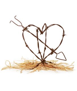 BARBED WIRE HEART   UncommonGoods