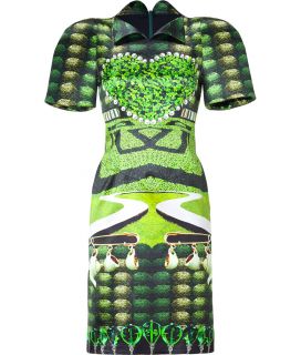 Mary Katrantzou Jade Garden Tea Party Print Dress  Damen  Kleider 