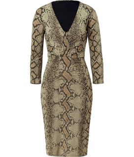 Roberto Cavalli Aloe Vera Python Print Draped Dress  Damen  Kleider 