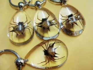 12PCS ICE REAL INSECT GOLDEN SPIDER CLEAR DROP WHOLESALE LOT CUTE KEY 
