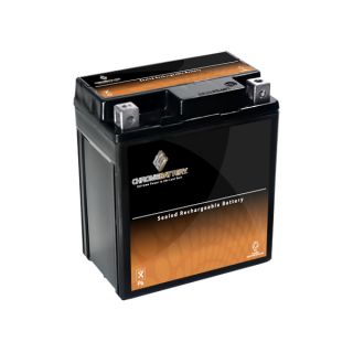   BS High Performance   Maintenance Free   Sealed AGM Motorcycle Battery