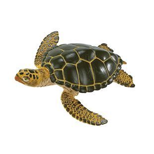 Safari Ltd. 274329 Green Sea Turtle Toy Sealife Reptile Animal 