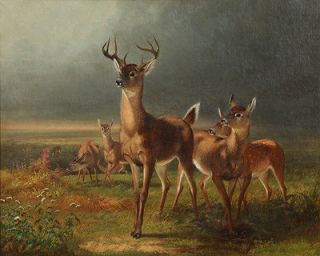 Holbrook William Beard Deer OnThe Prairie Canvas 16 x 20