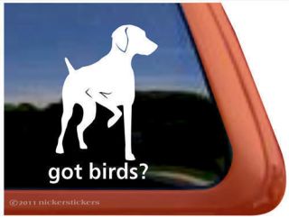 GOT BIRDS? ~ High Quality Vinyl Hungarian Vizsla Dog Window Sticker 