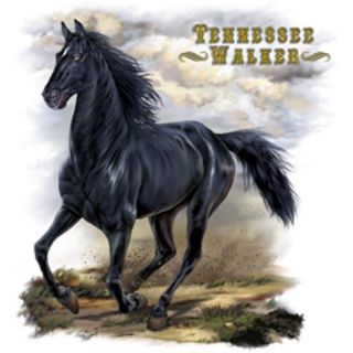 Rodeo Western Horse TENNESSEE WALKER